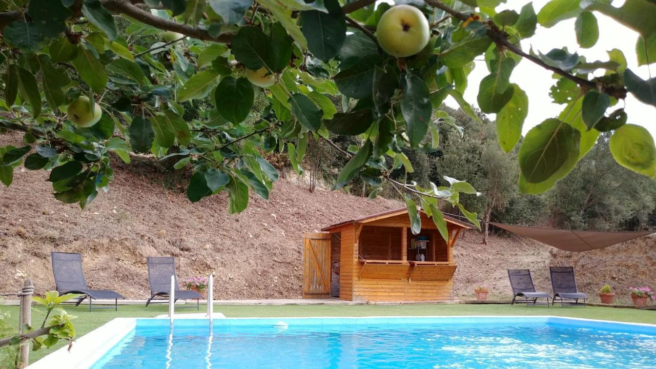 Masia Can Orta Sant Feliu de Buixalleu Екстер'єр фото